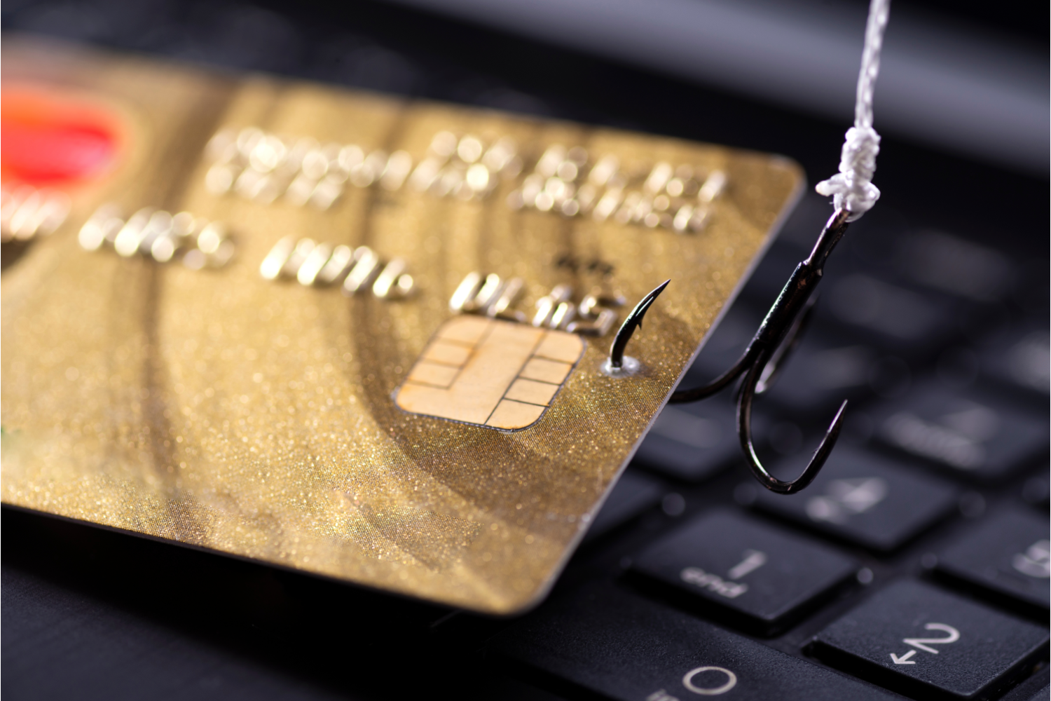 Hameçonnage sur le web. Vol de carte de crédit.